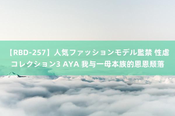 【RBD-257】人気ファッションモデル監禁 性虐コレクション3 AYA 我与一母本族的恩恩颓落