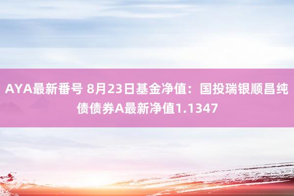 AYA最新番号 8月23日基金净值：国投瑞银顺昌纯债债券A最新净值1.1347