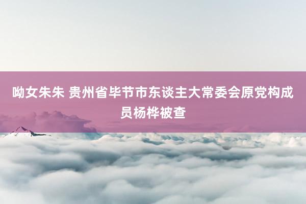 呦女朱朱 贵州省毕节市东谈主大常委会原党构成员杨桦被查