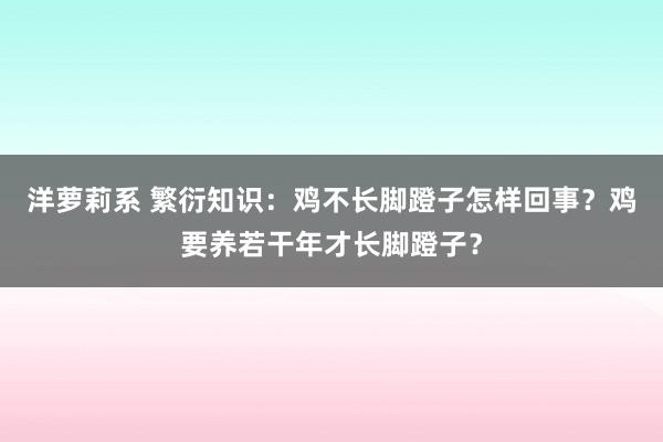 洋萝莉系 繁衍知识：鸡不长脚蹬子怎样回事？鸡要养若干年才长脚蹬子？