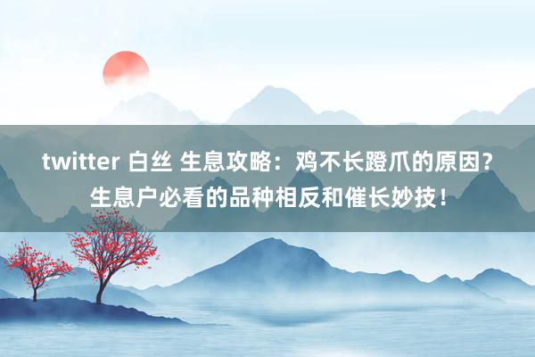 twitter 白丝 生息攻略：鸡不长蹬爪的原因？生息户必看的品种相反和催长妙技！