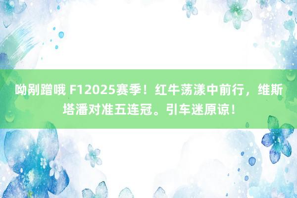 呦剐蹭哦 F12025赛季！红牛荡漾中前行，维斯塔潘对准五连冠。引车迷原谅！