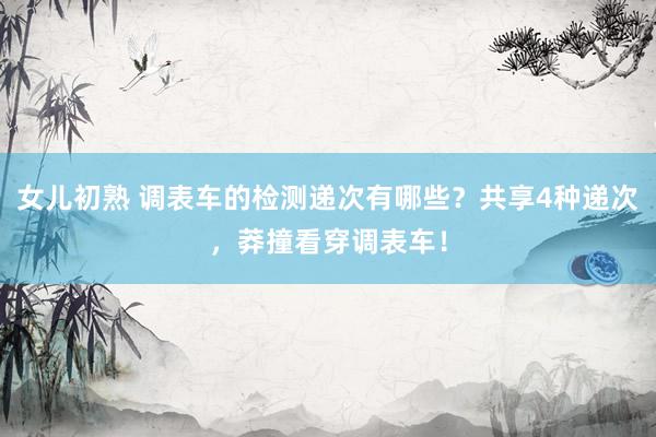 女儿初熟 调表车的检测递次有哪些？共享4种递次，莽撞看穿调表车！