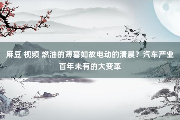 麻豆 视频 燃油的薄暮如故电动的清晨？汽车产业百年未有的大变革