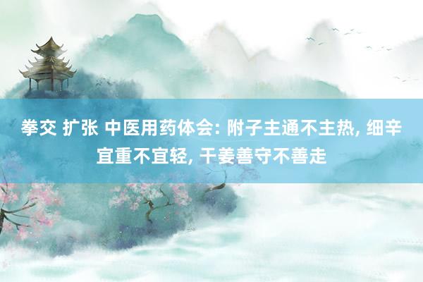 拳交 扩张 中医用药体会: 附子主通不主热， 细辛宜重不宜轻， 干姜善守不善走