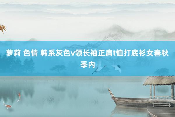 萝莉 色情 韩系灰色v领长袖正肩t恤打底衫女春秋季内