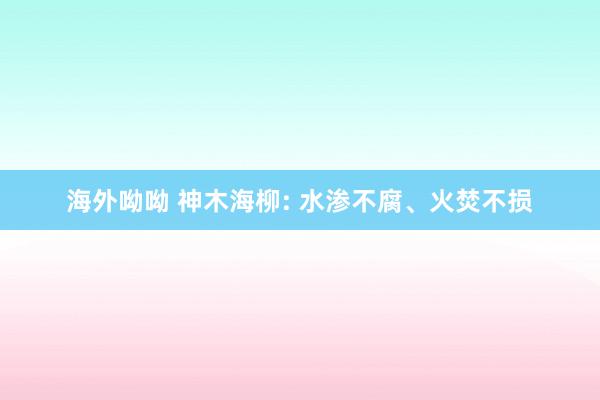 海外呦呦 神木海柳: 水渗不腐、火焚不损