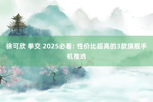 徐可欣 拳交 2025必看: 性价比超高的3款旗舰手机推选