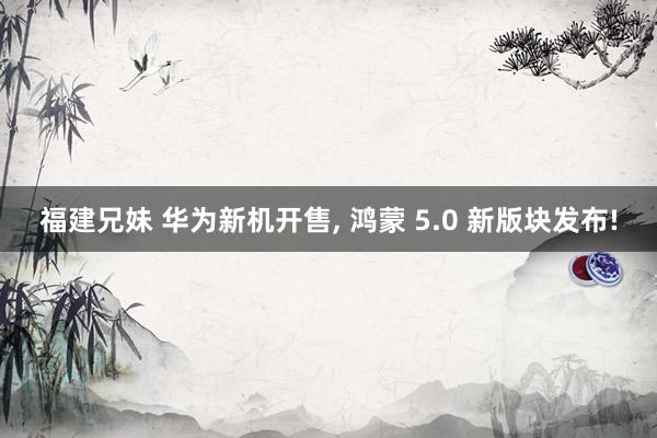 福建兄妹 华为新机开售， 鸿蒙 5.0 新版块发布!