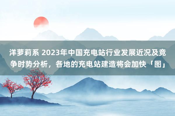 洋萝莉系 2023年中国充电站行业发展近况及竞争时势分析，各地的充电站建造将会加快「图」