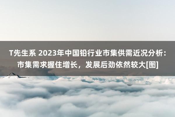 T先生系 2023年中国铅行业市集供需近况分析：市集需求握住增长，发展后劲依然较大[图]
