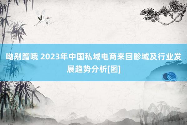 呦剐蹭哦 2023年中国私域电商来回畛域及行业发展趋势分析[图]