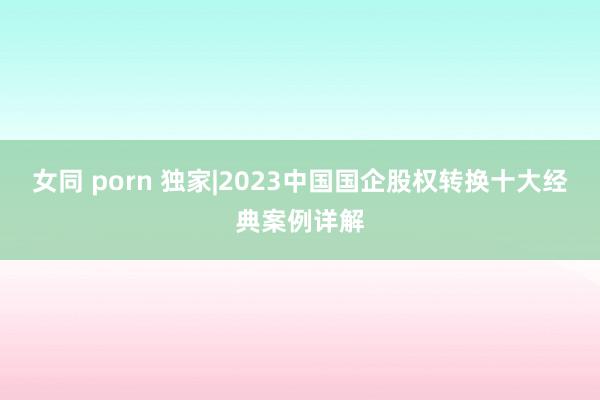 女同 porn 独家|2023中国国企股权转换十大经典案例详解