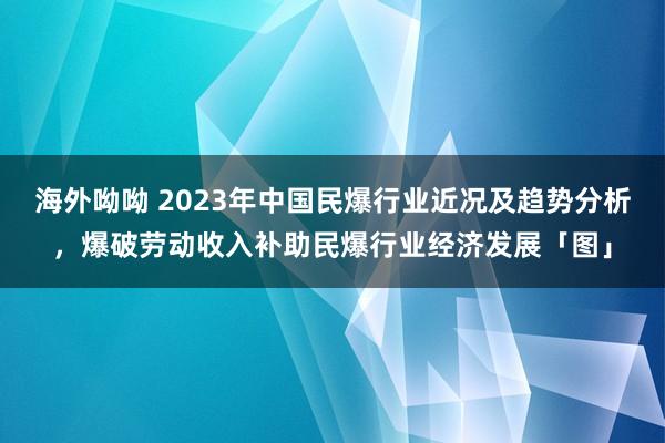海外呦呦 2023年中国民爆行业近况及趋势分析，爆破劳动收入补助民爆行业经济发展「图」