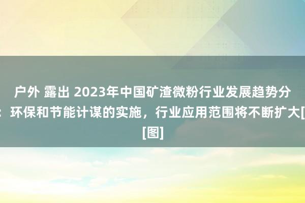 户外 露出 2023年中国矿渣微粉行业发展趋势分析：环保和节能计谋的实施，行业应用范围将不断扩大[图]