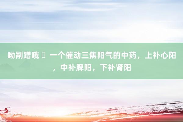 呦剐蹭哦 ​一个催动三焦阳气的中药，上补心阳，中补脾阳，下补肾阳