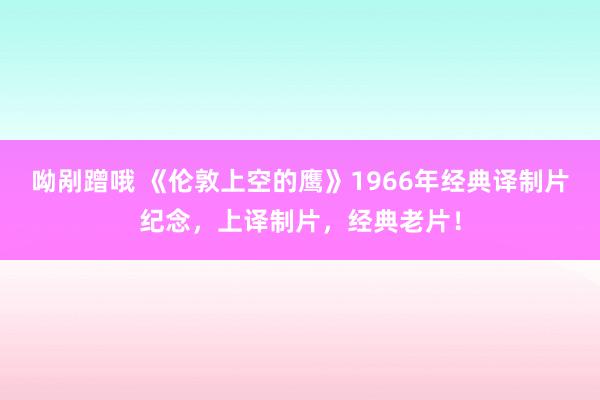 呦剐蹭哦 《伦敦上空的鹰》1966年经典译制片纪念，上译制片，经典老片！