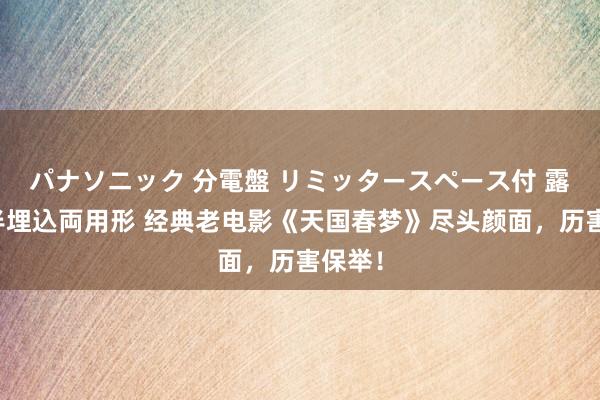 パナソニック 分電盤 リミッタースペース付 露出・半埋込両用形 经典老电影《天国春梦》尽头颜面，历害保举！