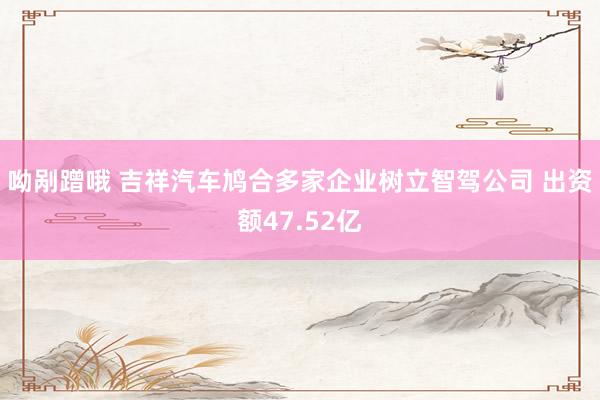 呦剐蹭哦 吉祥汽车鸠合多家企业树立智驾公司 出资额47.52亿